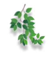 Leaf decoration left mobile