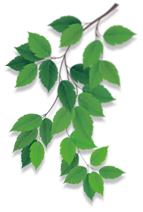 Leaf decoration right