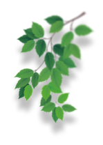 Leaf decoration right mobile